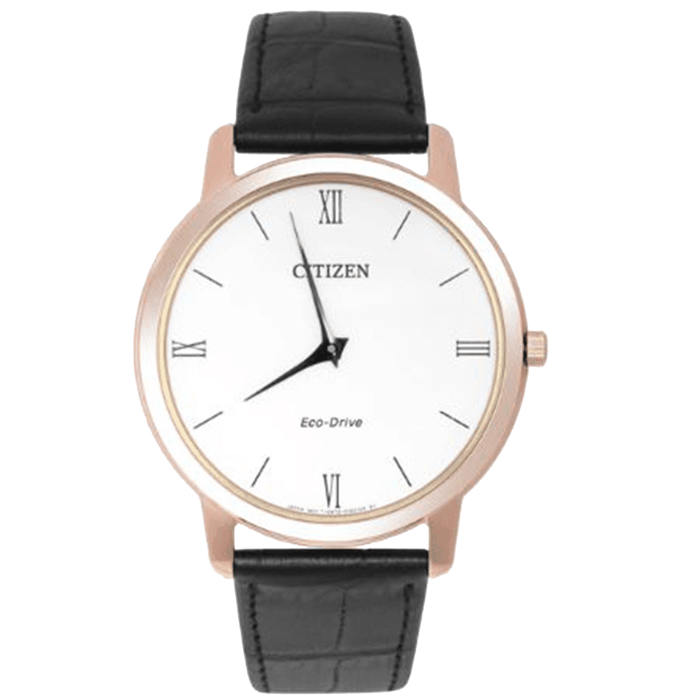 ĐỒNG HỒ CITIZEN AR1133-23A
