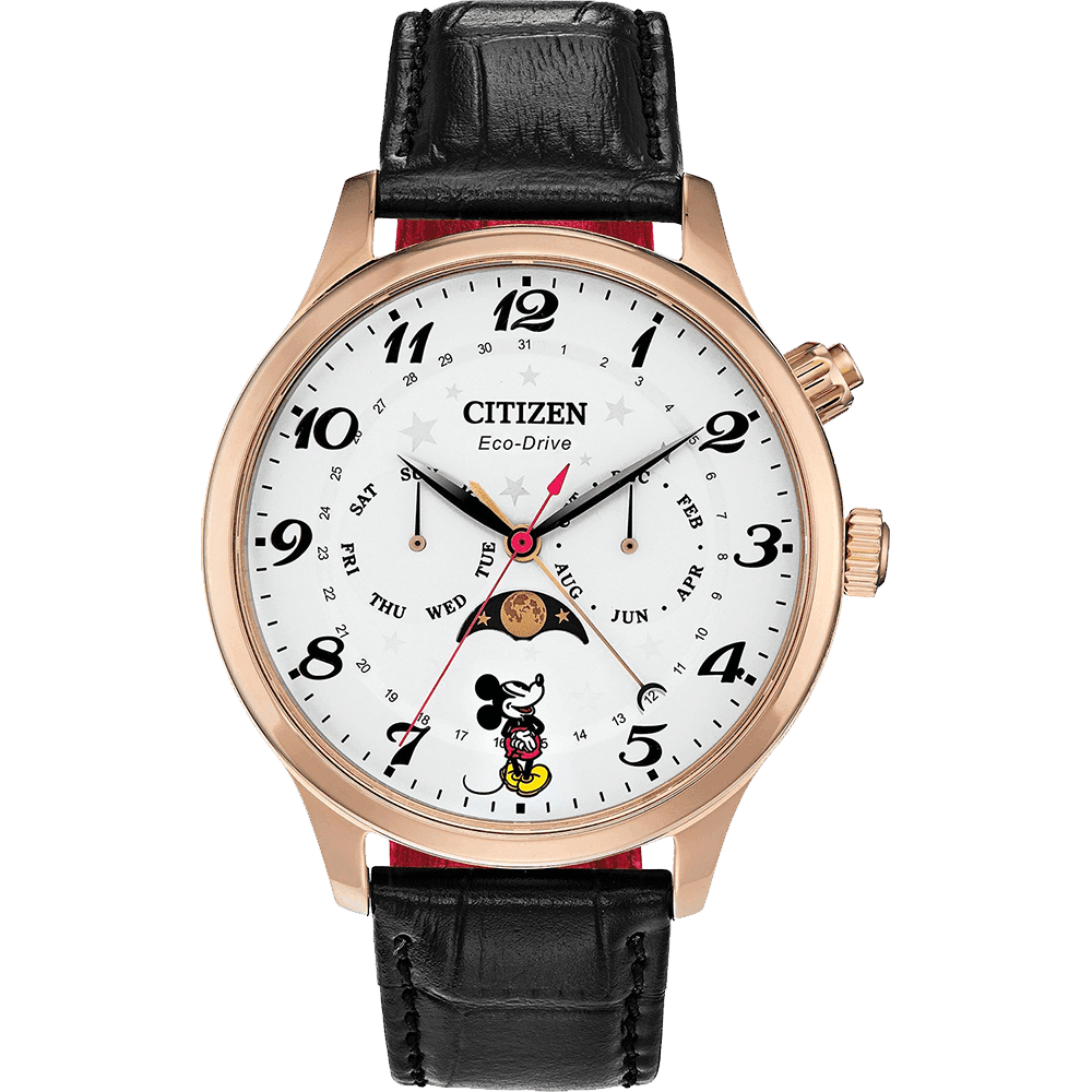 ĐỒNG HỒ CITIZEN AP1053-15W