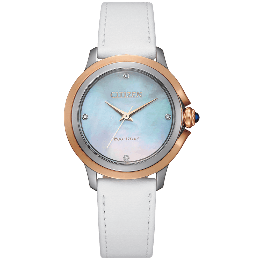 ĐỒNG HỒ CITIZEN EM0796-08Y