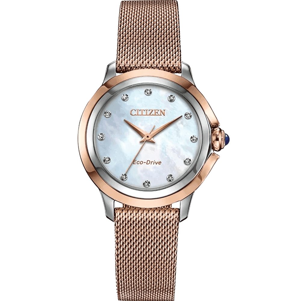 ĐỒNG HỒ CITIZEN EM0796-75D