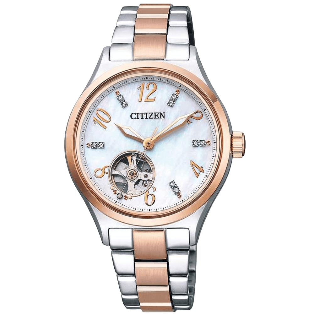 ĐỒNG HỒ CITIZEN PC1006-84D