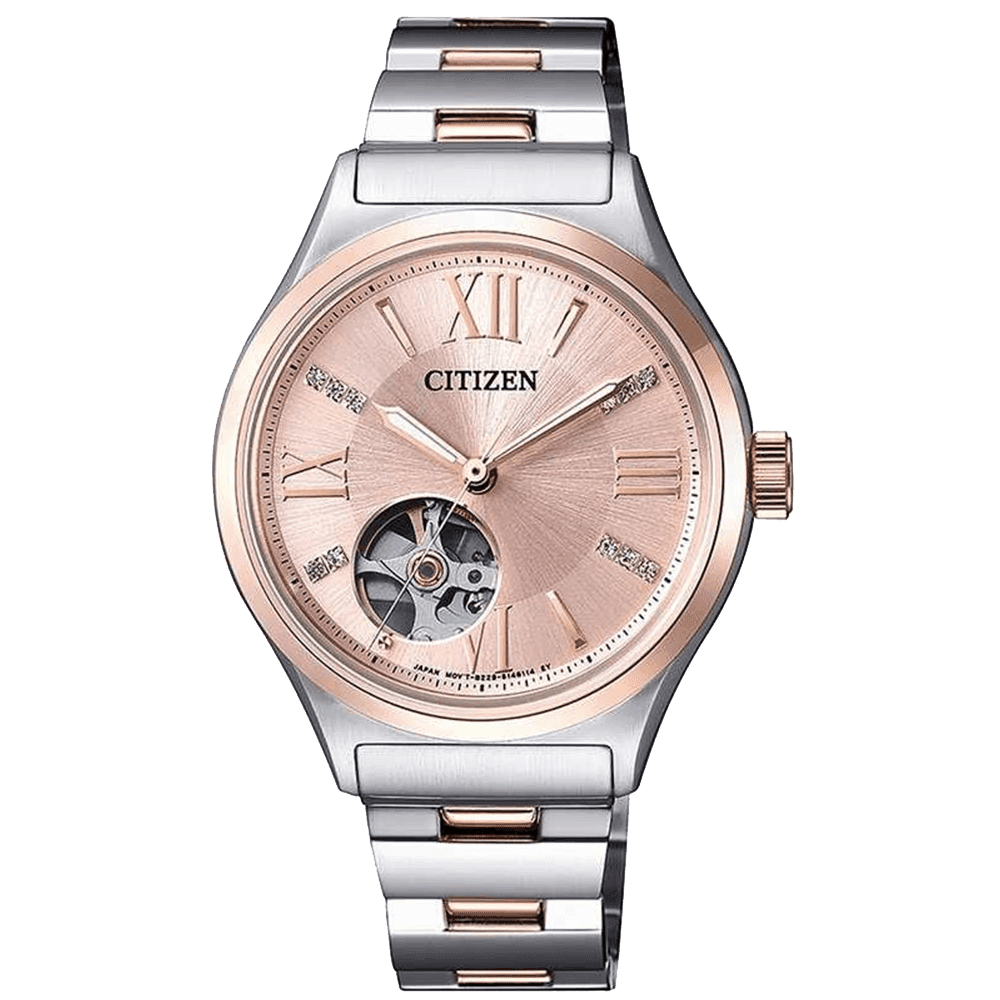 ĐỒNG HỒ CITIZEN PC1009-51W