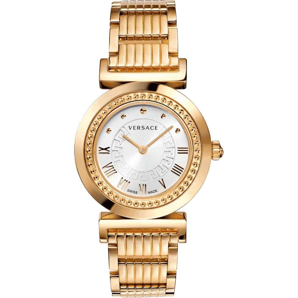 ĐỒNG HỒ VERSACE P5Q80D001 S080