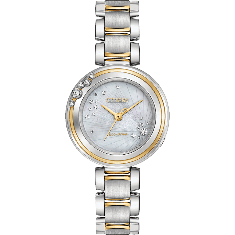 ĐỒNG HỒ CITIZEN EM0464-59D