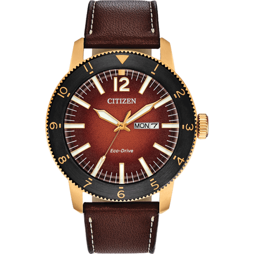 ĐỒNG HỒ CITIZEN AW0076-03X