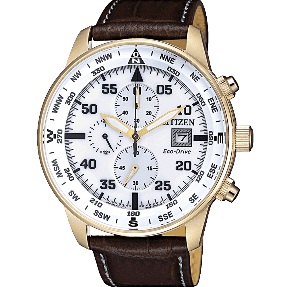 ĐỒNG HỒ CITIZEN CA0693-12A